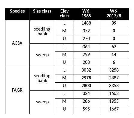 Table 1. Comparison of seedling bank (>50cm in hgt; <2cm DBH) and sweep (2-9.9 cm DBH) layers. Values are stems per hectare. 1965 data from Bormann et al. (1970). Sugar maple (ACSA) and beech (FAGR) are the main species present in the seedling bank.The elevation classes are L (lower third, 546-625m ), M (middle third, 625-709 m) and U (upper third, 709-791m).