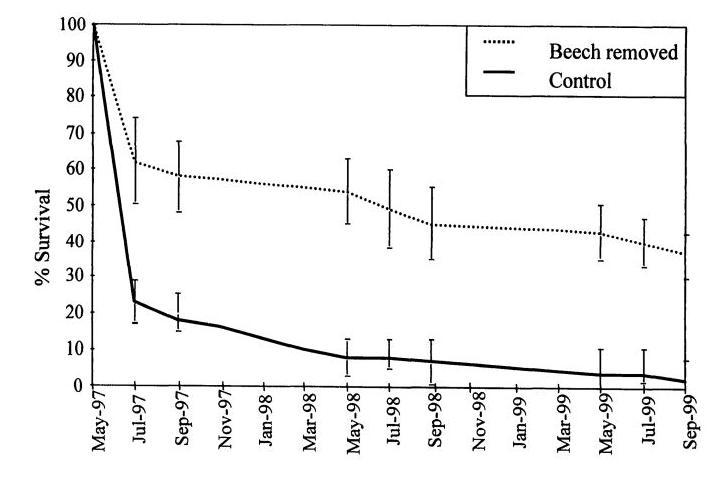 Figure 6. Reproduction of Figure 3 from Chapter 3 of Hane 2001 thesis: Survivorship of sugar maple seedlings during three growing seasons in a control treatment and a treatment in which beech seedlings (< 10 cm DBH) were removed.