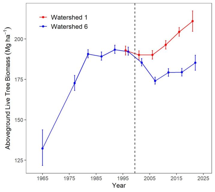 Aboveground live tree biomass of the forest on reference watershed 6 and adjacent Ca-treated watershed 1. Error bars indicate 95% confidence intervals based on DBH measurements of all trees on the watersheds. 