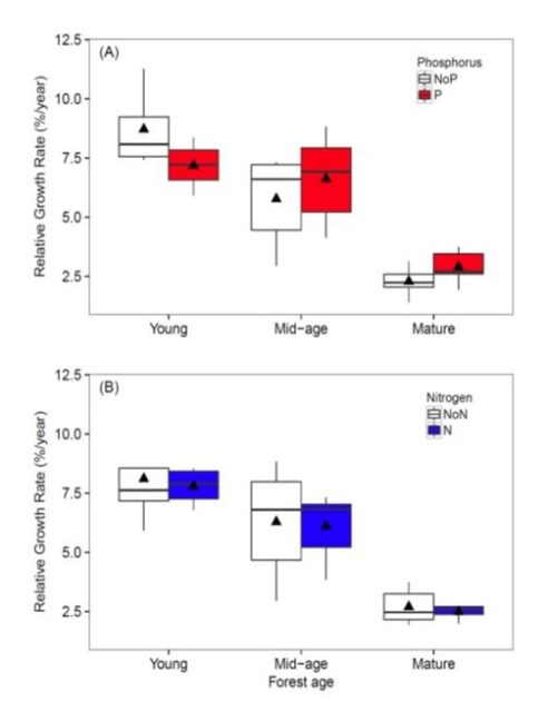 Relative growth rate of trees growing in young, mid-age and mature forest plots fertilized for 5 years with (A) phosphorus or (B) nitrogen in comparison with control plots (from Goswami et al. in review).