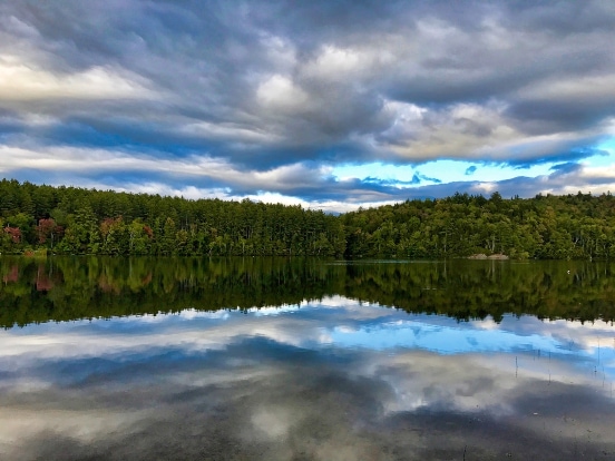 clouds reflected in a still lake with forest beyond