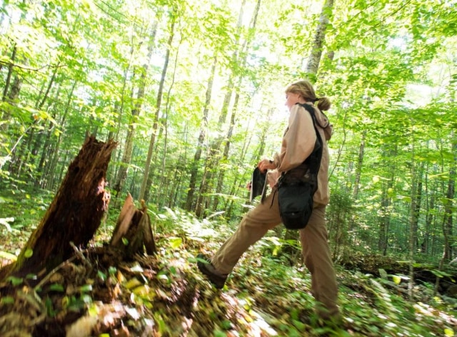 woman walking through forest with scientific equipment