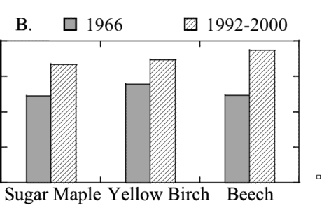 Figure 10. Foliar N:P in Watershed 6 in 1966 (Likens and Bormann 1970) and 30 years later (Fahey unpublished data.