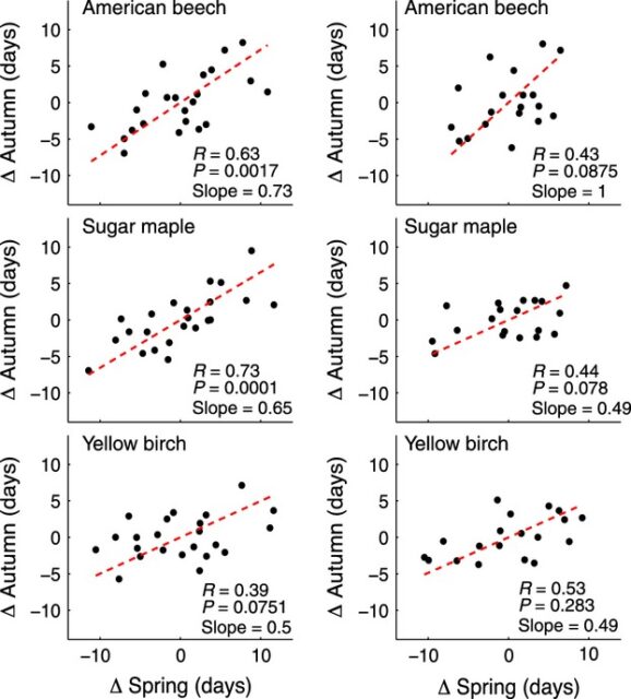Fig. 7. Uptake of NH4 and NO3 by sugar maple roots in reference and snow removal (soil freezing) plots in two years of treatment (from Campbell et al. 2014).