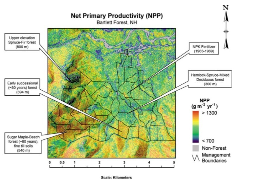 Figure 7. Map of predicted net primary production (NPP, g/m2-yr) based on PnET and AVIRIS-derived canopy N concentration for Bartlett Experimental Forest. From Ollinger and Smith 2005.