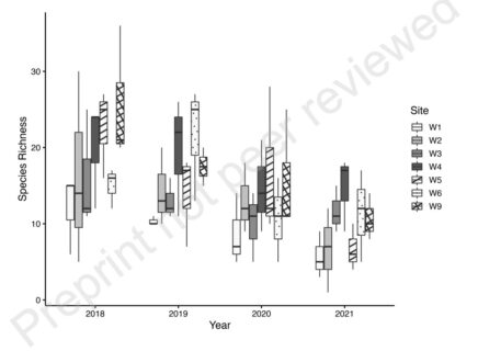 Box plot