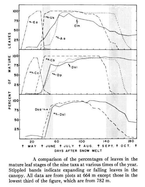 Figure 3. (Orginally, Fig. 5) from Mahall and Bormann (1978).