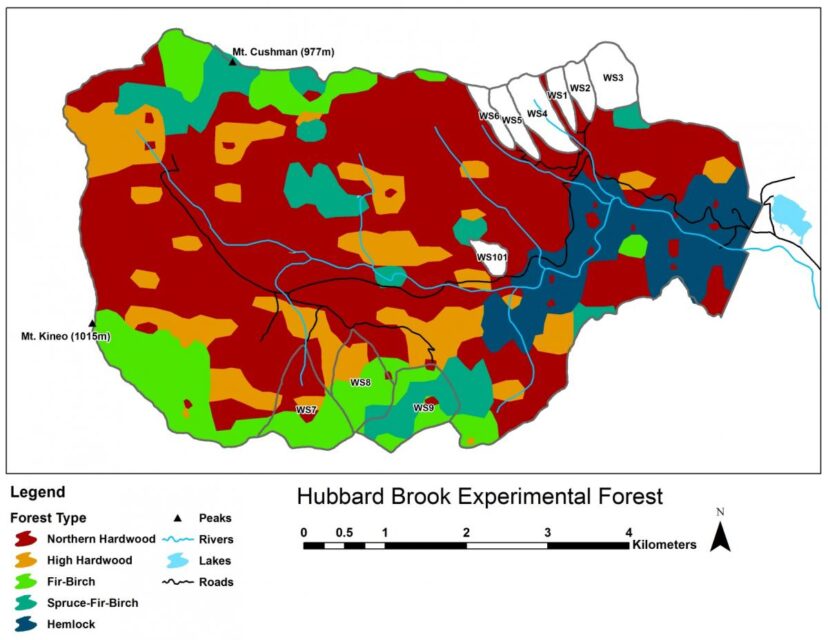 Figure 4. Forest vegetation types in the Hubbard Brook Valley (Battles, unpublished data).