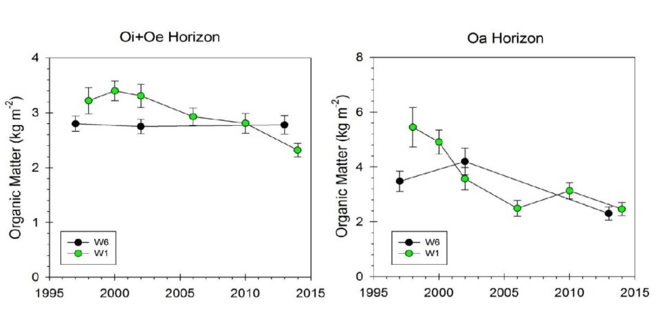 Figure 5. Changes in organic matter content of forest floor horizons in reference (WS6) and calcium-amended (WS1) watersheds at Hubbard Brook. (C.E. Johnson, unpublished data).