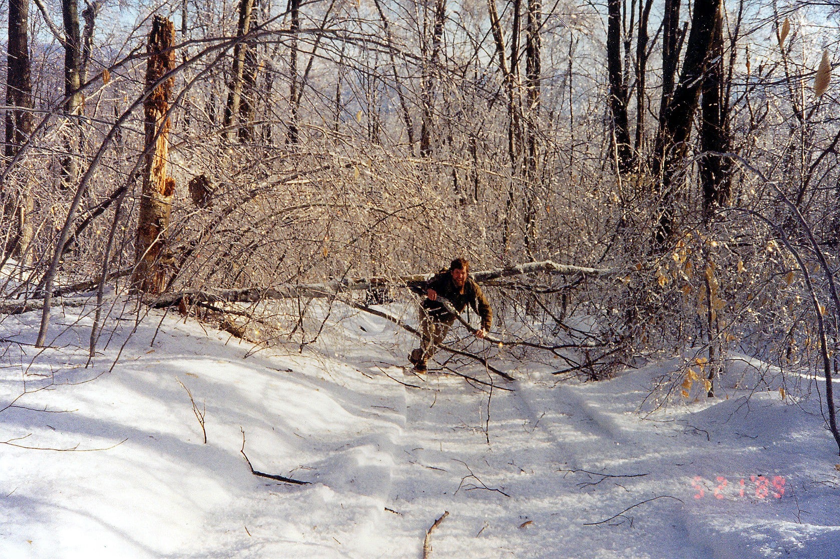 Scott Bailey wrestles a downed tree in 1998. Photo: Jennifer Pett-Ridge