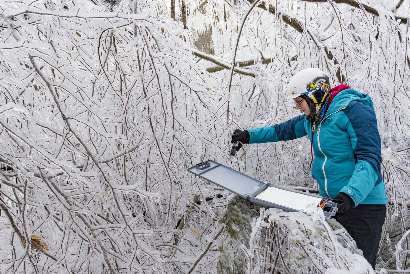 Student researcher Wendy Leuenberger measures ice accretion during an experimental ice storm. Photo by Joe Klementovich.