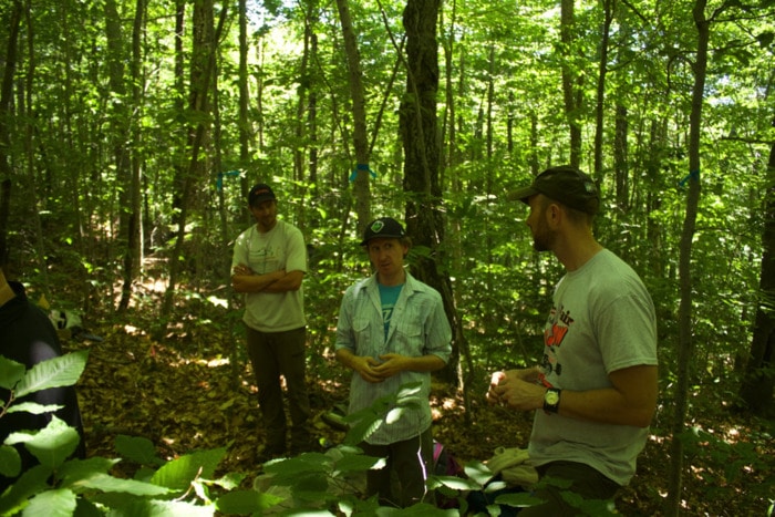 Dan, Mark, and Chris discuss the logistics of sensor placement at the log. Photo: Sophia Adams